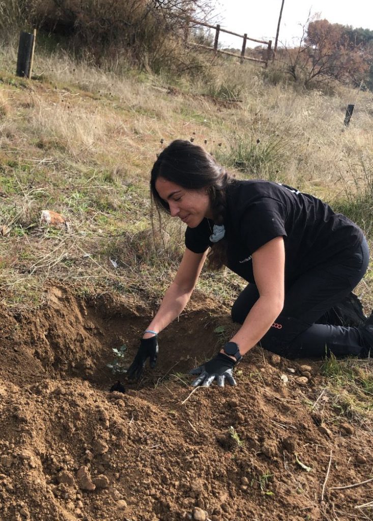 ESG Arribatec stock exchange planting flowers for the bees