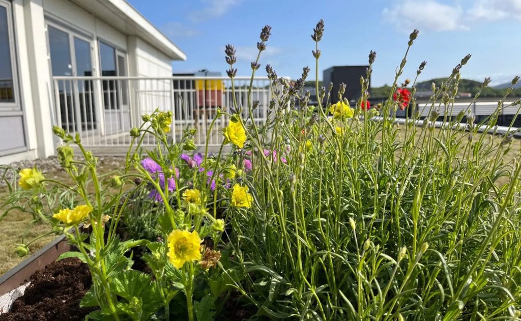 ESG Arribatec stock exchange planting flowers for the bees