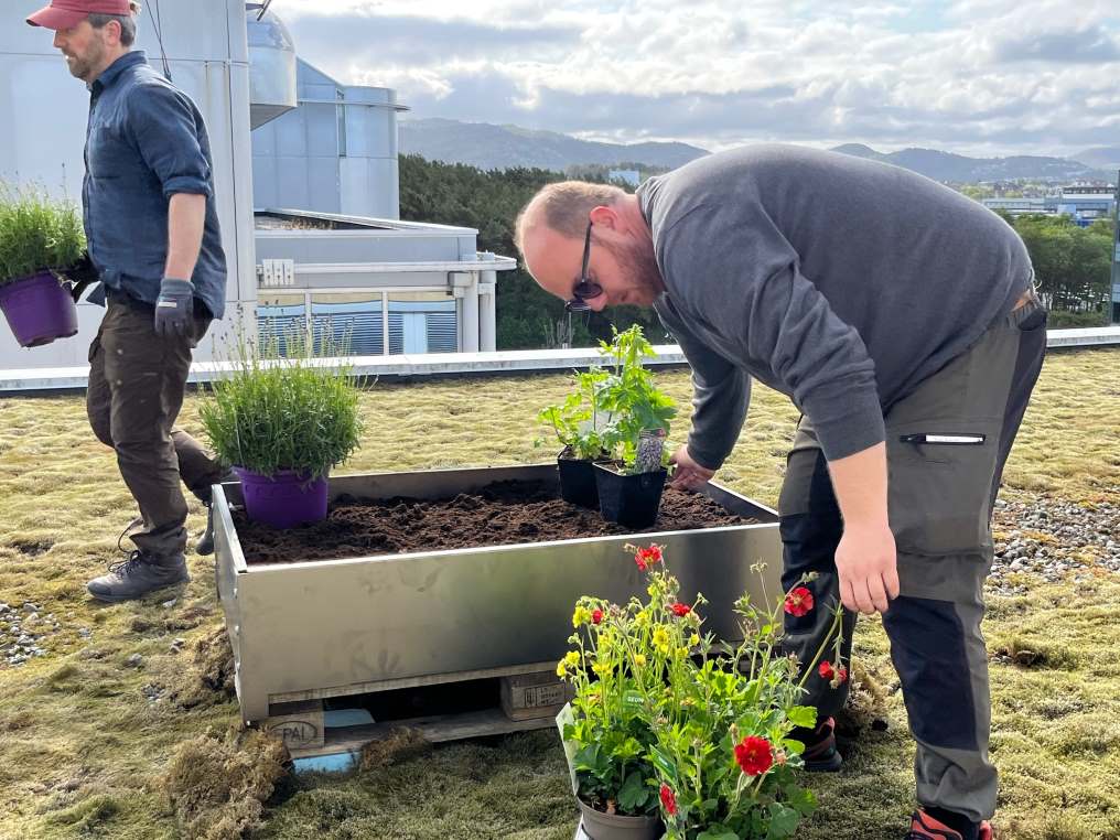 ESG Arribatec stock exchange planting flowers for the bees